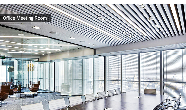Ceiling Scene 1
