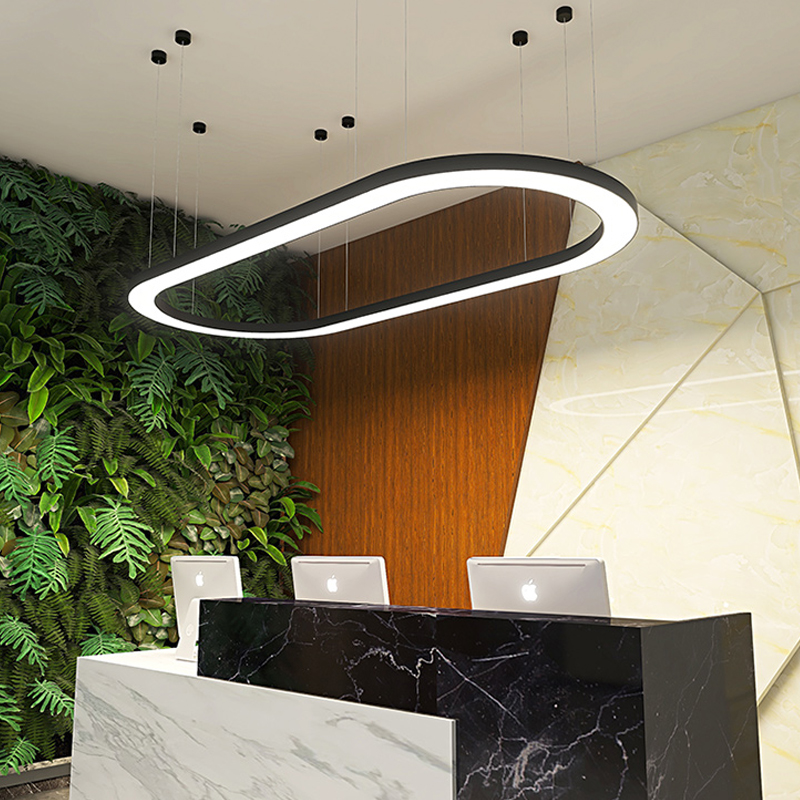 Modern LED Oval Ring Pendant Lamp Circle Ceiling Hanging Chandelier For Living Dining Room Home Lighting Fixture
