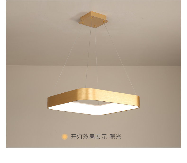 LED Pendant Light Detail 10
