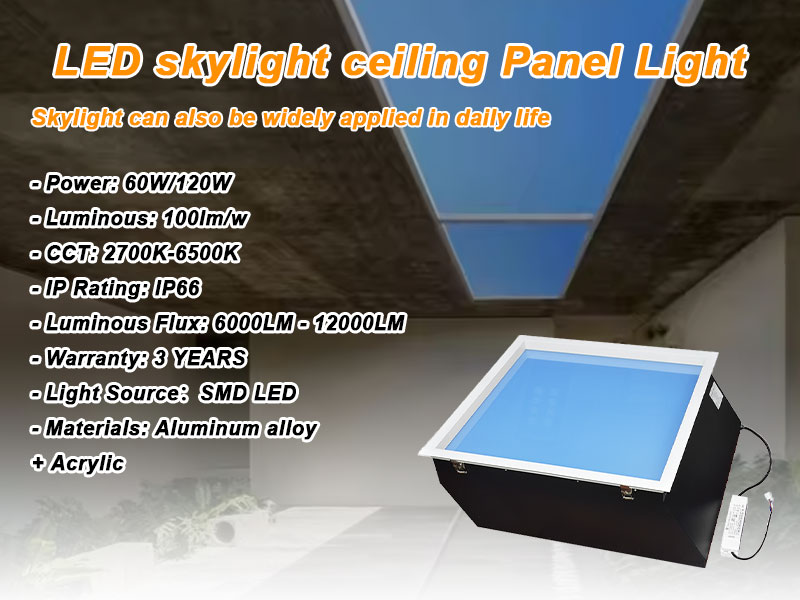 Product View