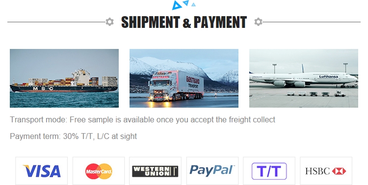 Shipping and Payment