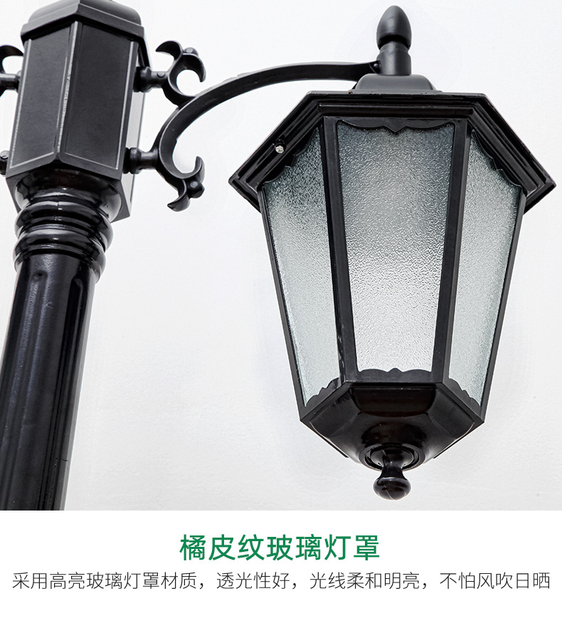 Antique Street Lamp View 13