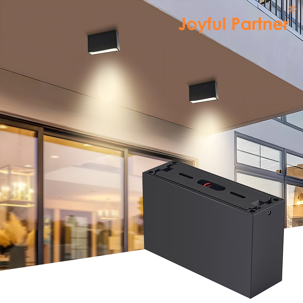 IP65 10W Square LED Wall Light Outdoor Waterproof Aluminum Surface Mounted Downlight Landscape Garden Decoration Lamp