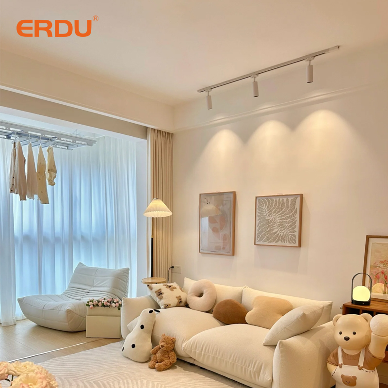 ERDU 3CCT Smart Professional Project Lighting Aluminum Rail Spotlight Adjustable Showroom Shop Exhilbition