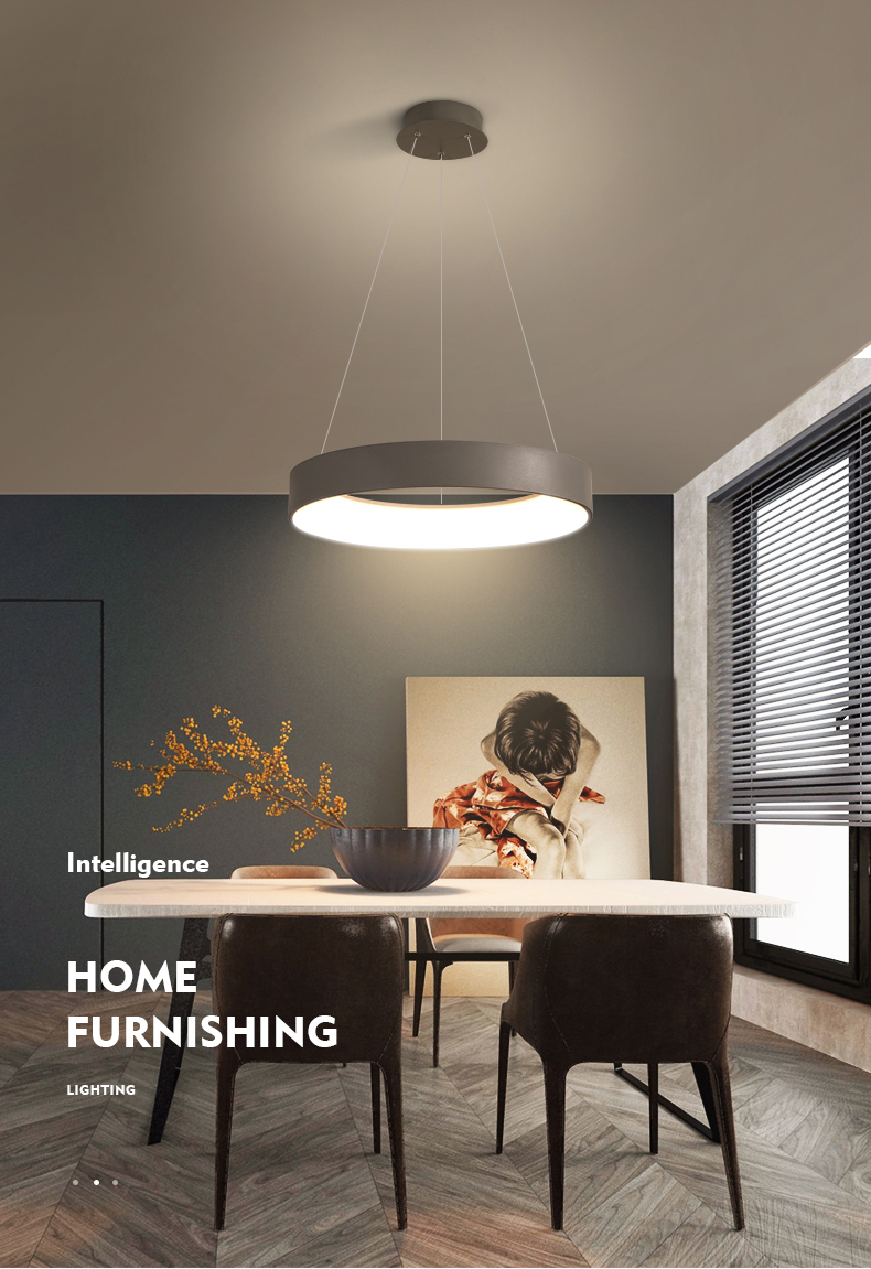 LED Pendant Light Detail 1