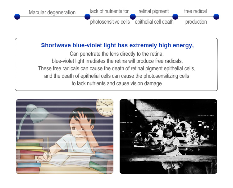 LED Classroom Light Details