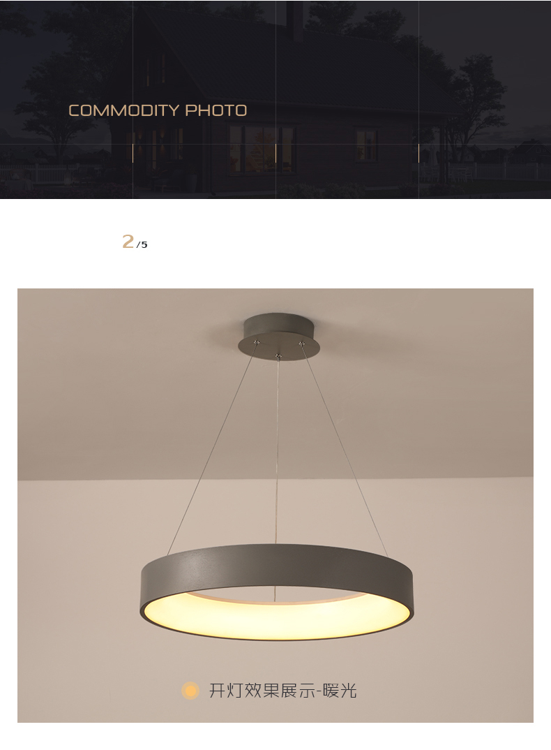 LED Pendant Light Detail 8