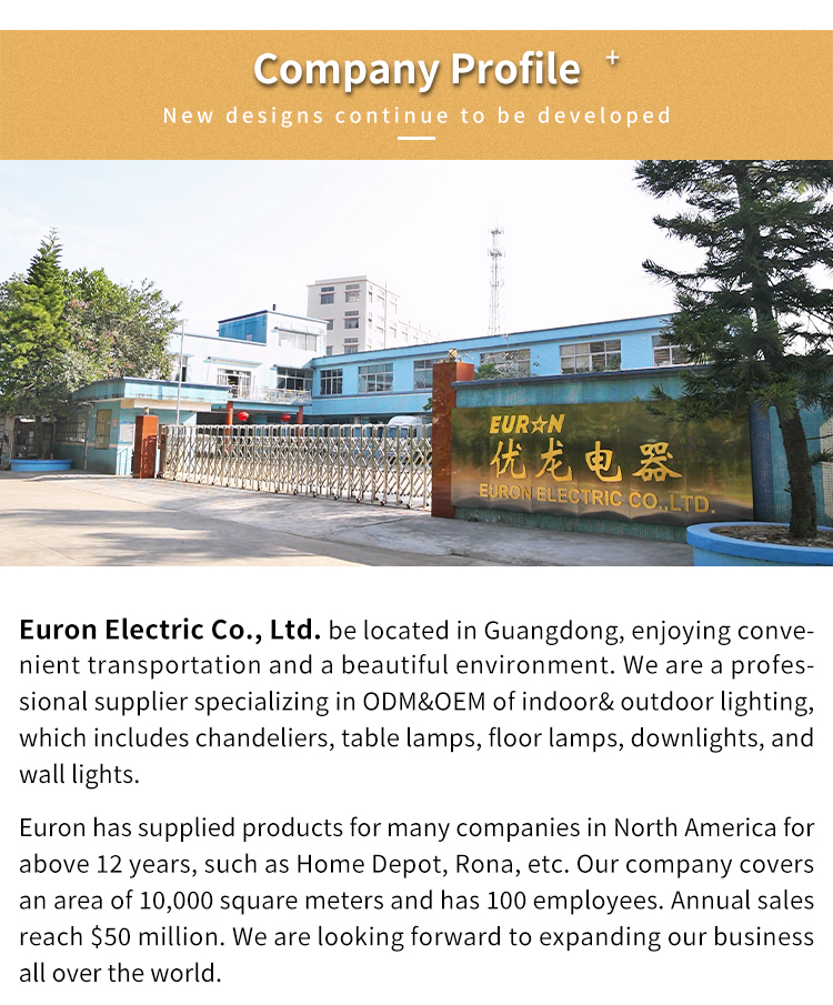 Company Overview Image