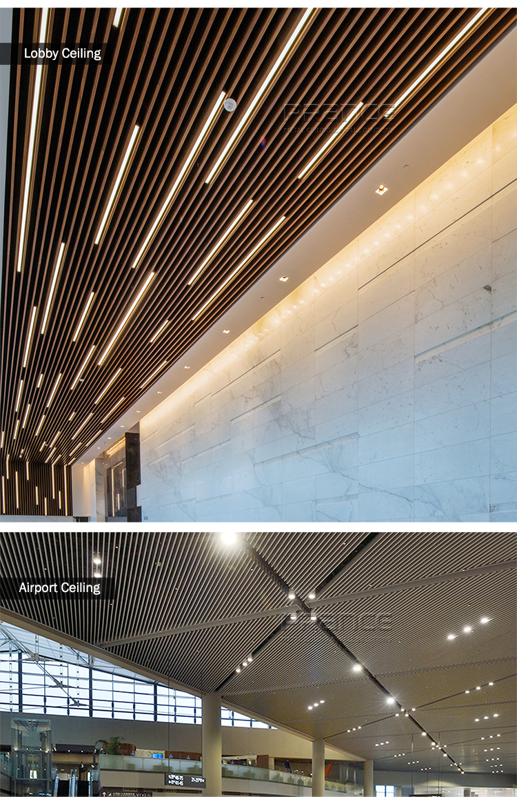 Ceiling Scene 2
