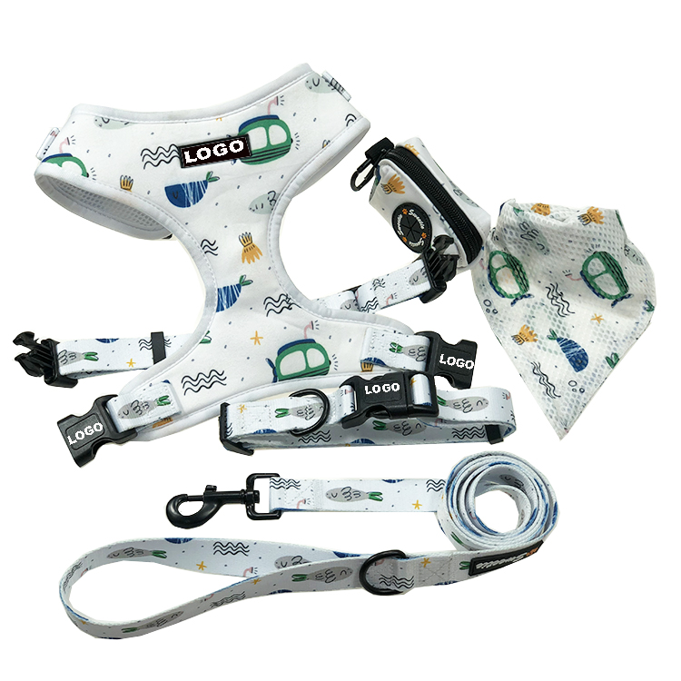 Related Product