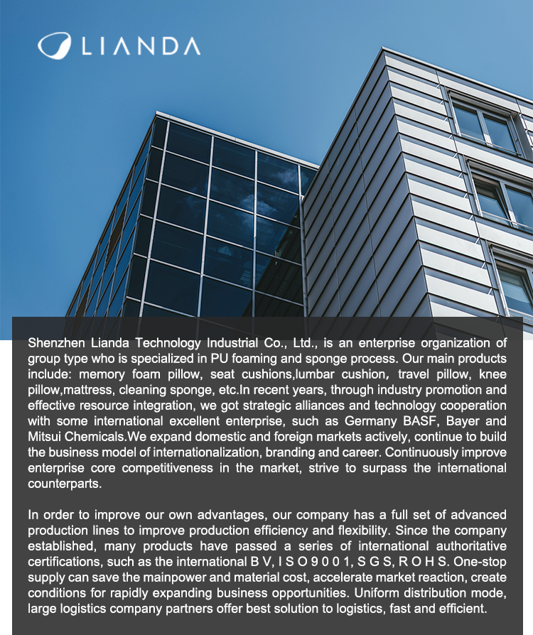 Company Profile Overview 1