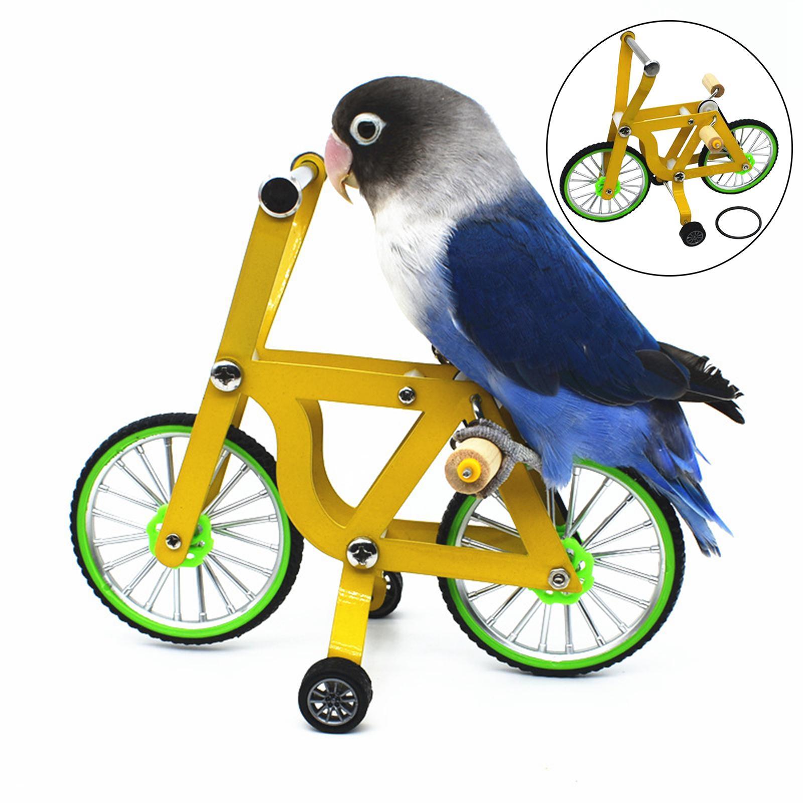 Clever Bird Bike Toy