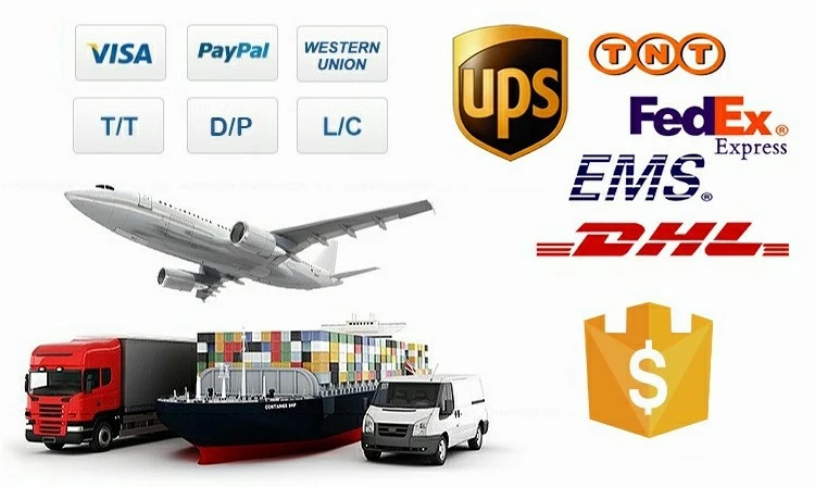 Shipping Logistics