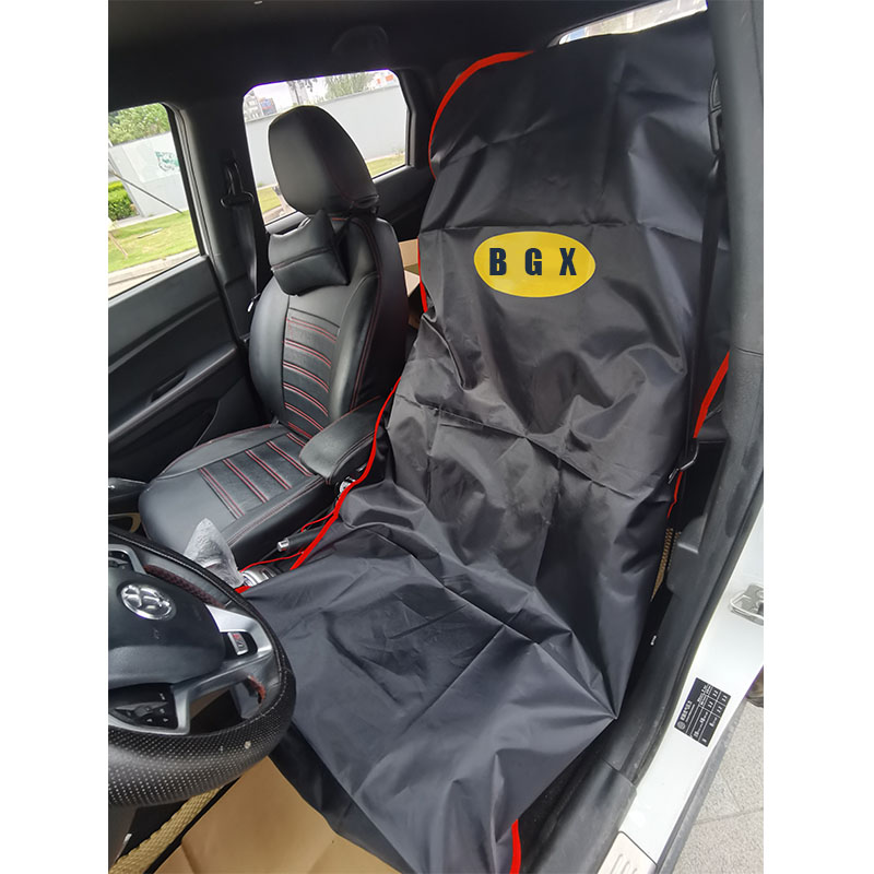 Car Protection Details 2