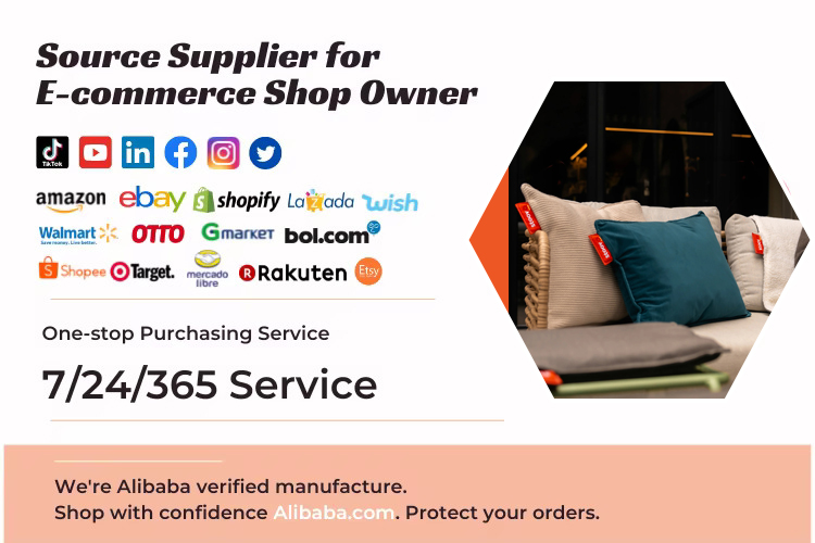 Portable heated cushion showcase