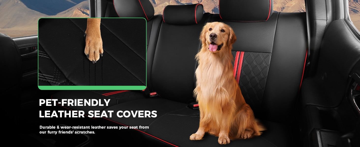 Pet-Proof Your Seats Icon