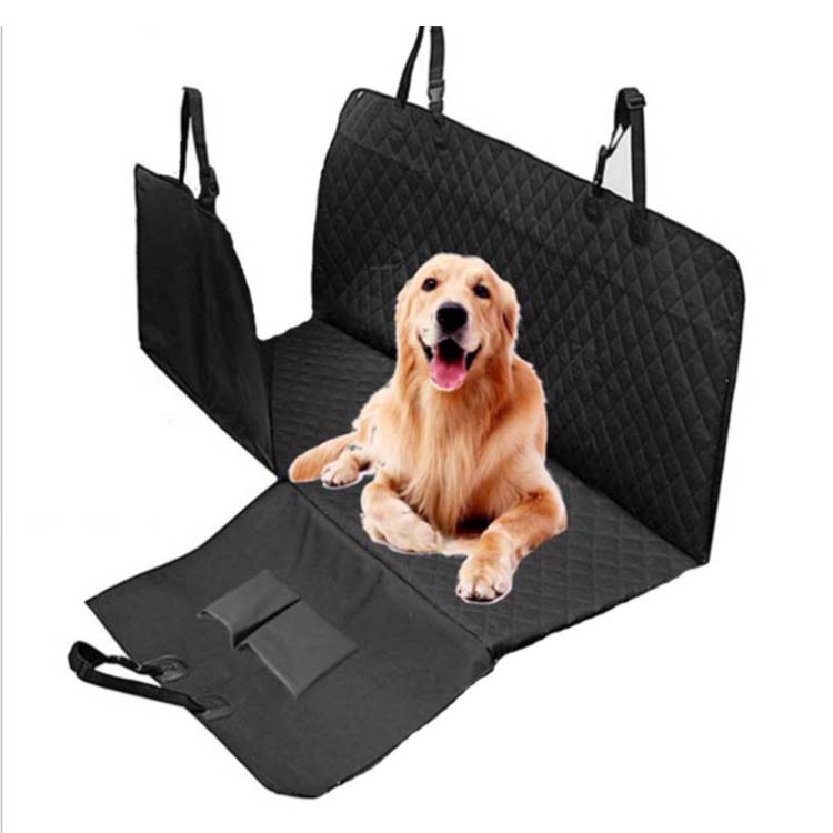 Related Product