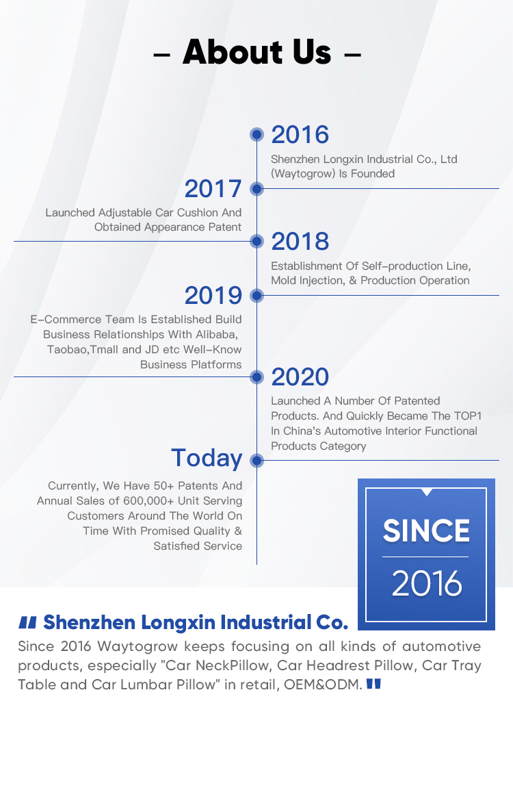 Company Showcase 1