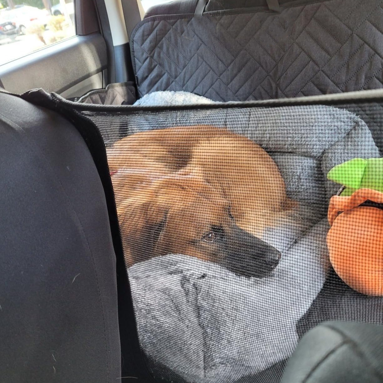 Waterproof Small Large Dog Auto Extend Seat Protector Instead Hard Bottom 600d Oxford Dog Car Seat Cover for Front Back Seat