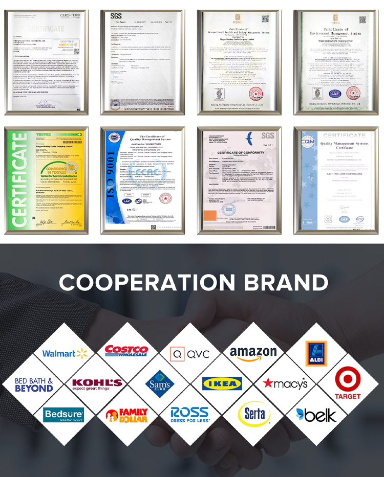 Certification 1