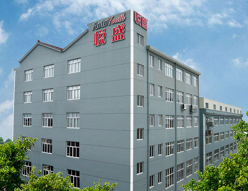 Our Company 1