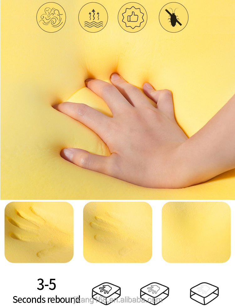 Product Detail 2