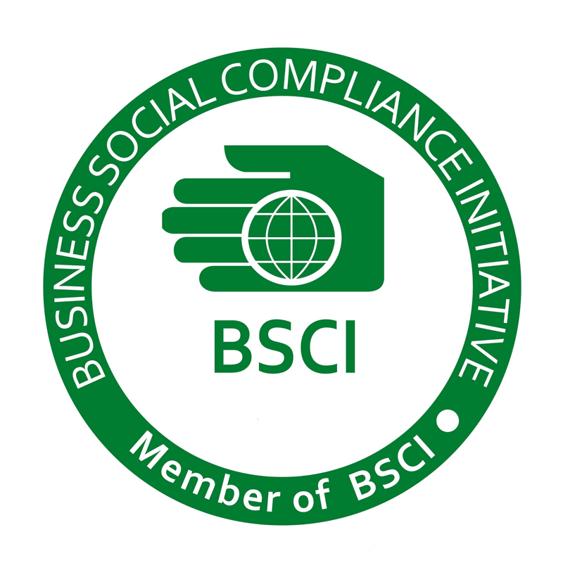 BSCI Logo