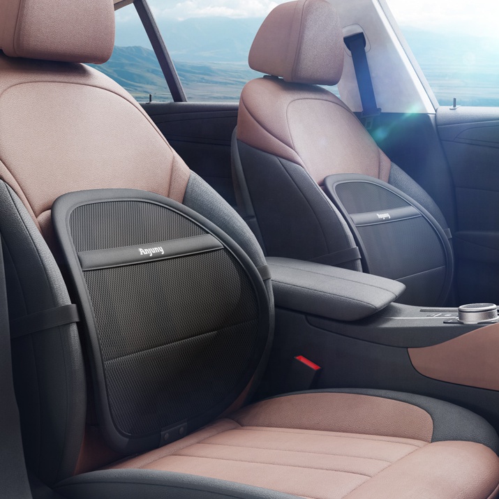 Ventilated Car Lumbar Support