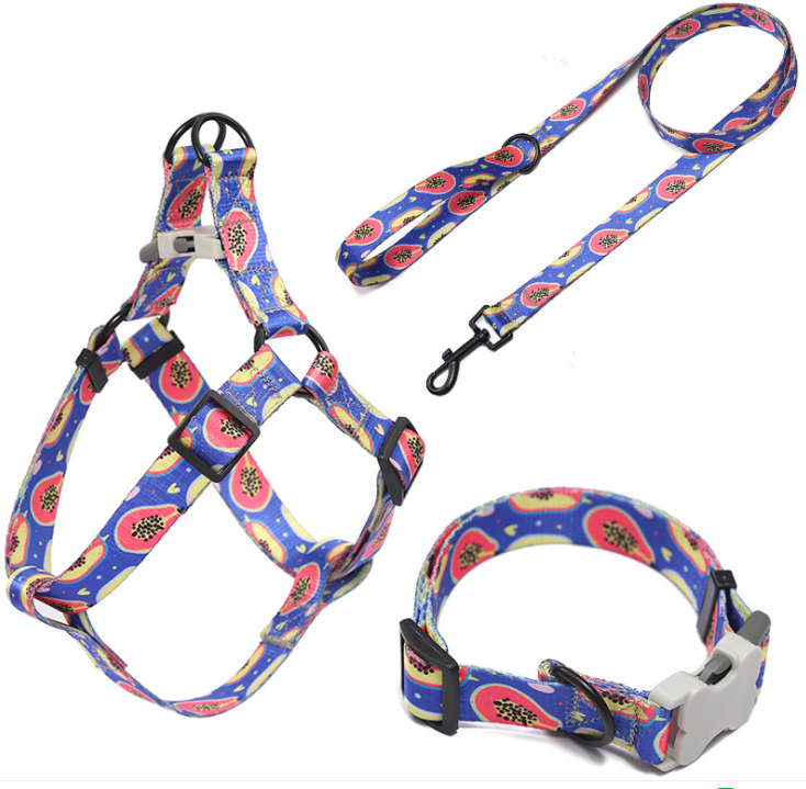 Related Product