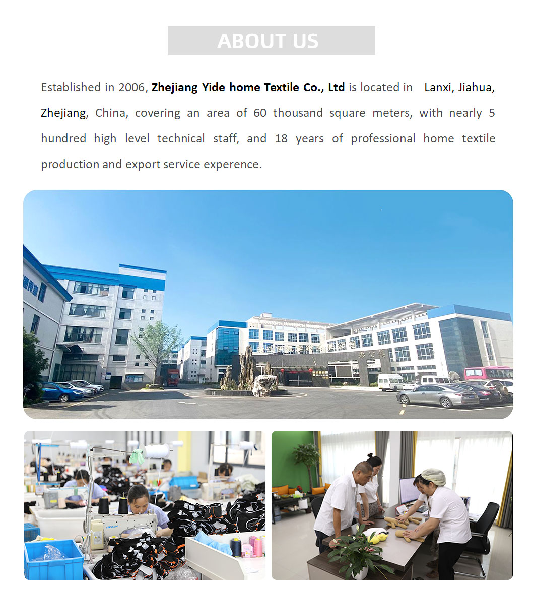 Company Profile 1