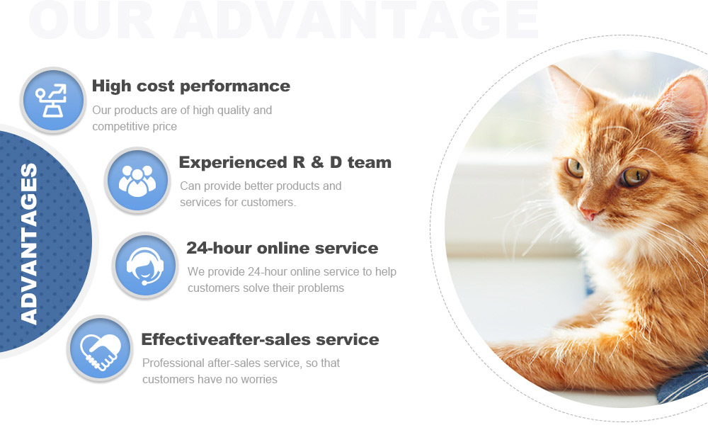 Our Services