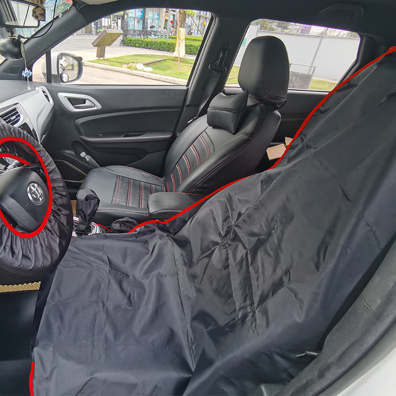 Car Protection Details 1