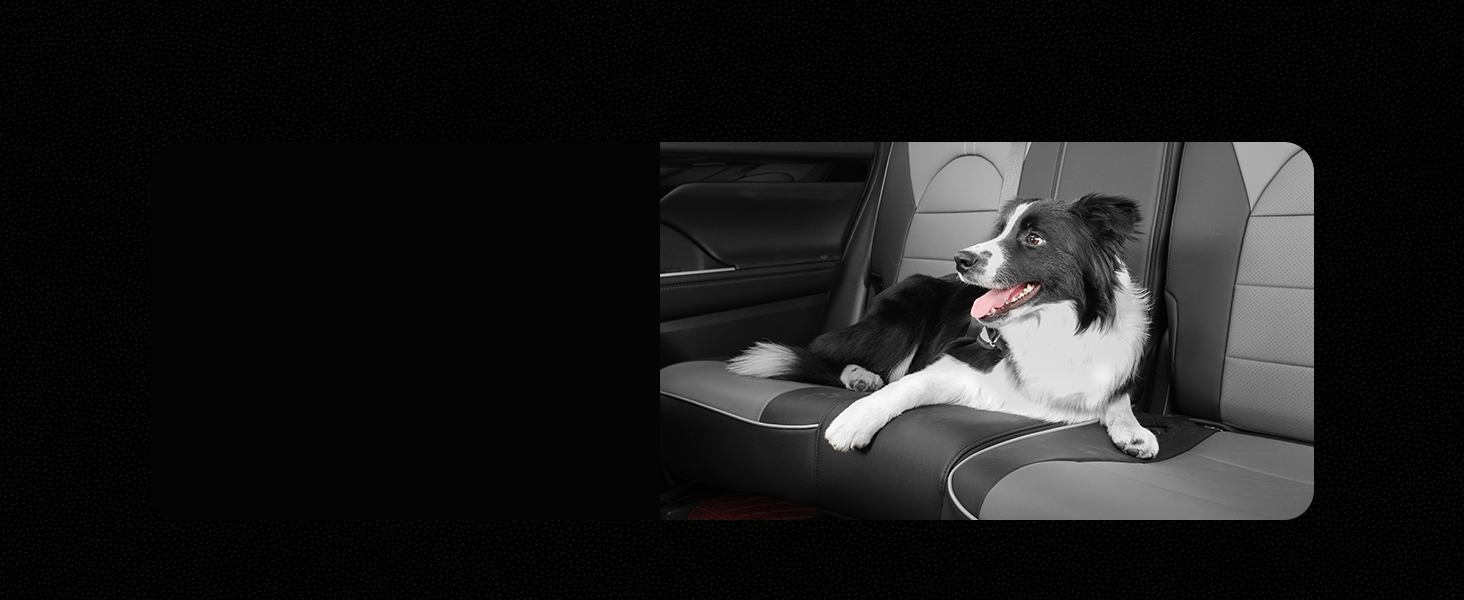 Interior View 5