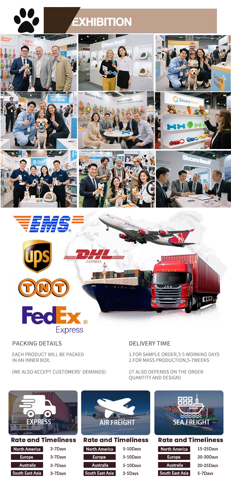 Company Introduction Graphic