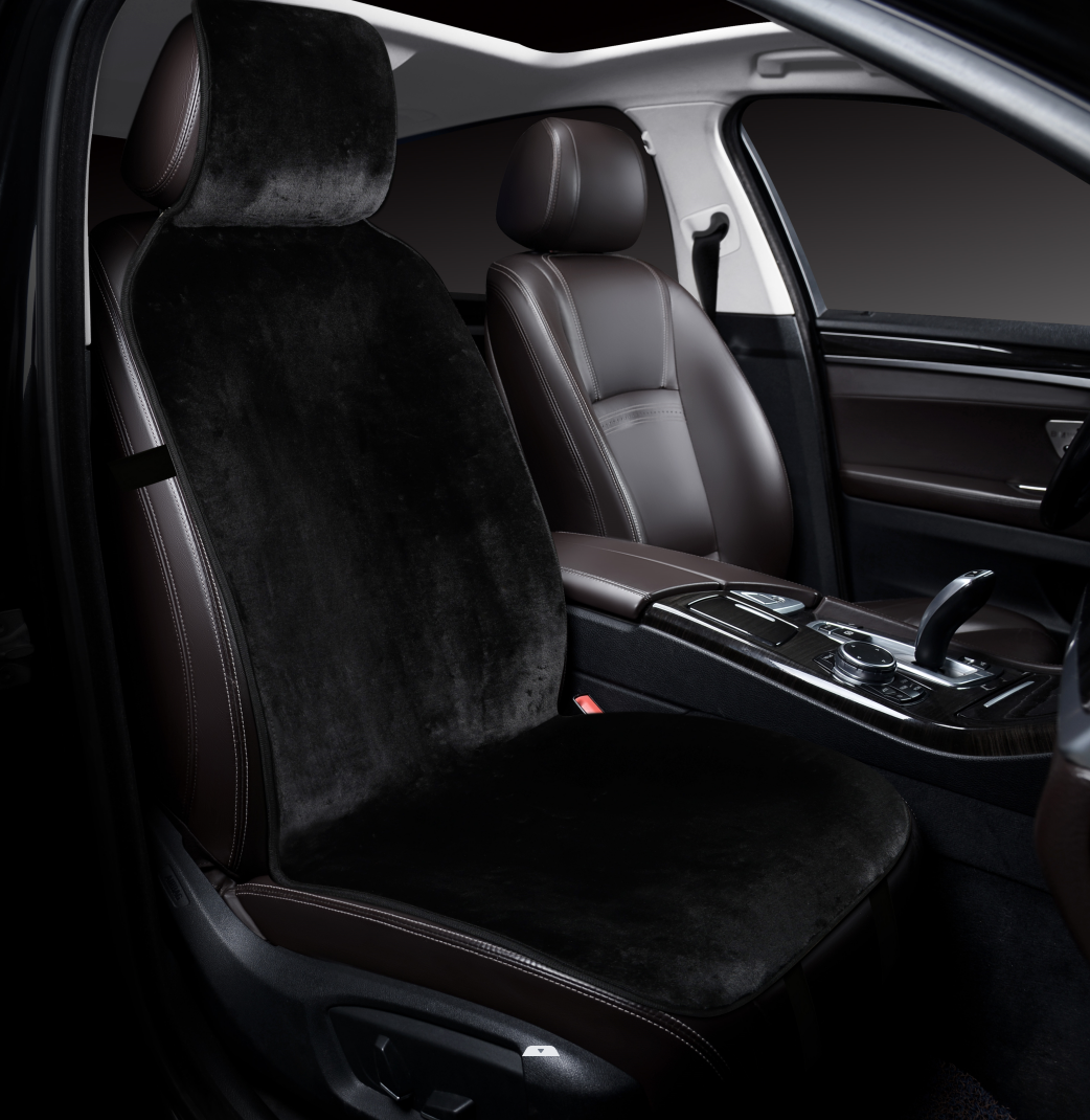 Winter Car Cushion