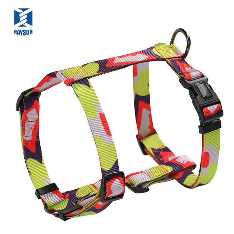 Related Product