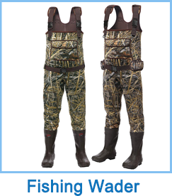 Product Option 6