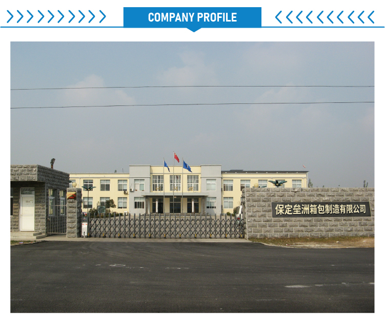 Company Profile Overview