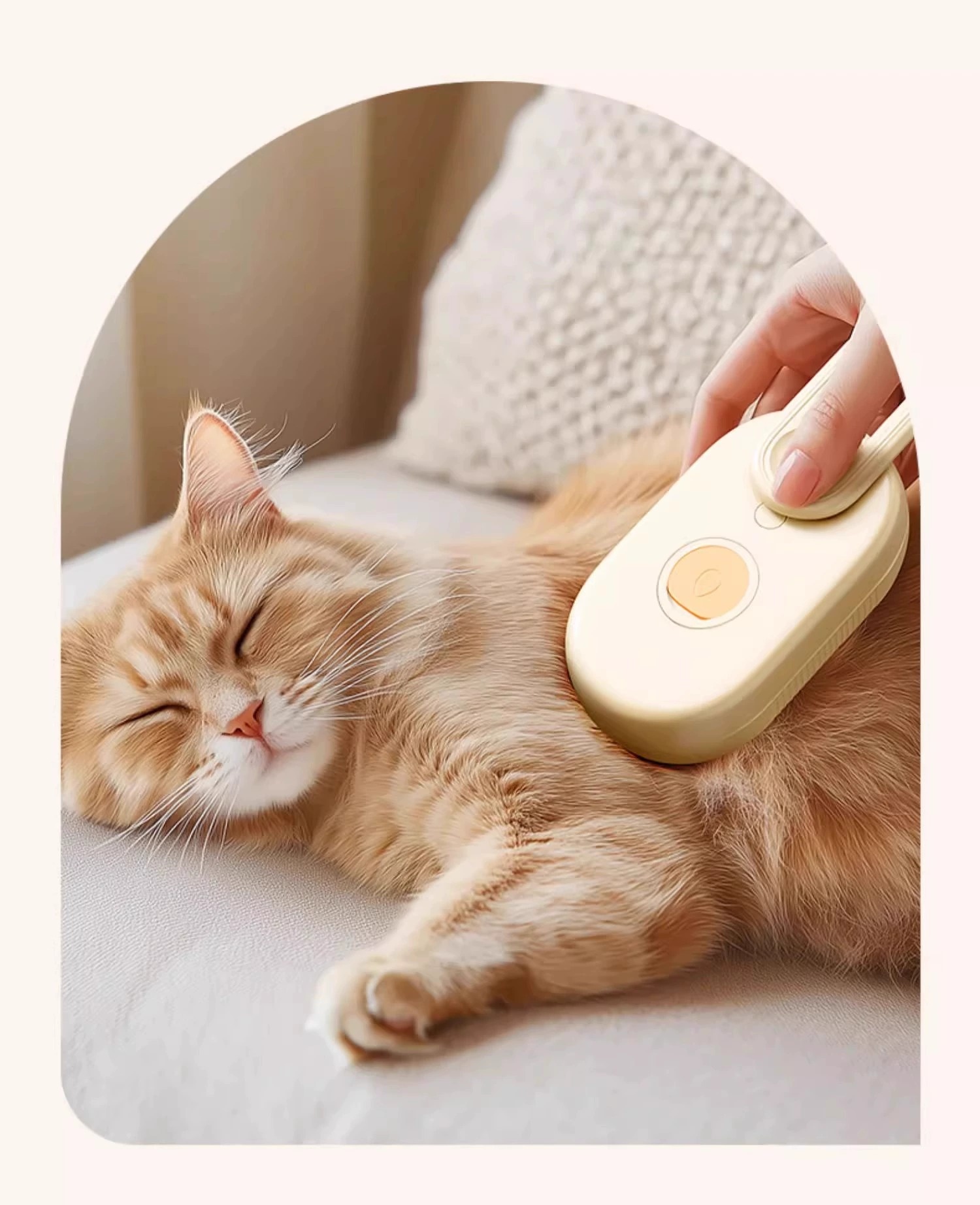 Pet Grooming Brush