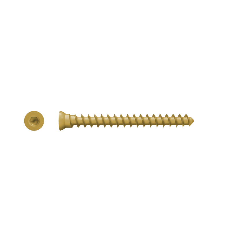 Maxillofacial Locking Orthopedic Surgical Implants Self-Tapping Self-Drilling Bone Screw