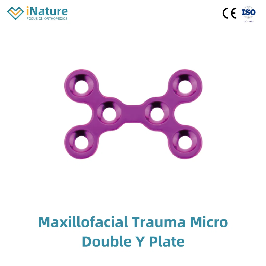 Mini Micro T Locking Plate Maxillofacial Head Bone Plate Implant