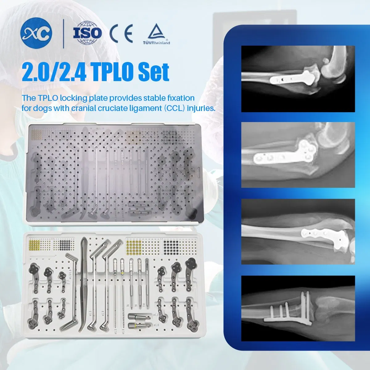 Surgical Orthopedic Instruments 2.0/2.4 Tplo Locking Plate and Screw Veterinary Instrument Set