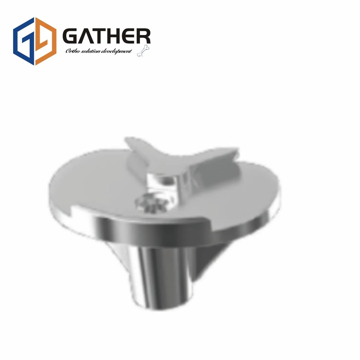 OEM Orthopedic Surgical Instrument Femoral Condyle Replacement Artificial Knee Joint Implants