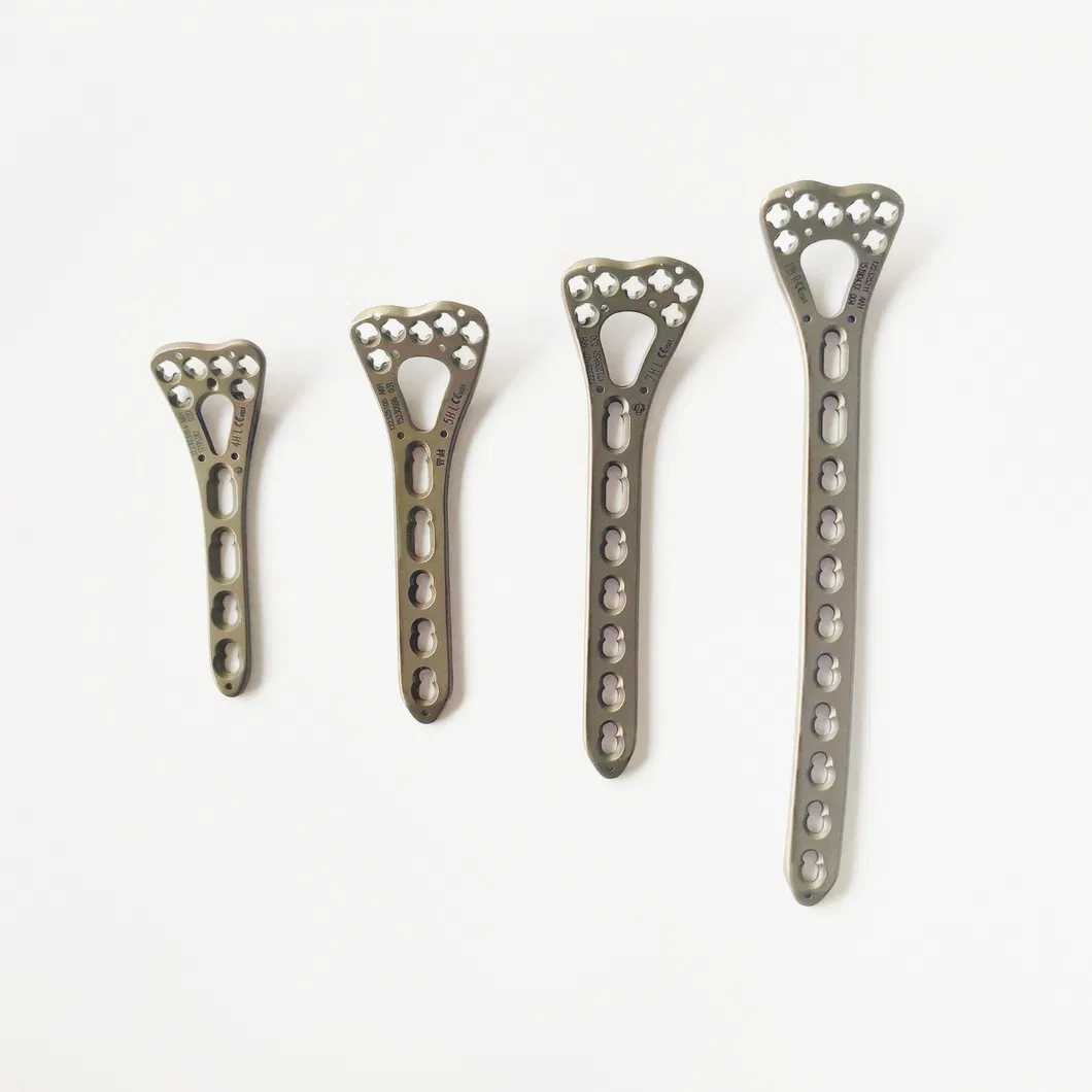 Titanium Plate Front View