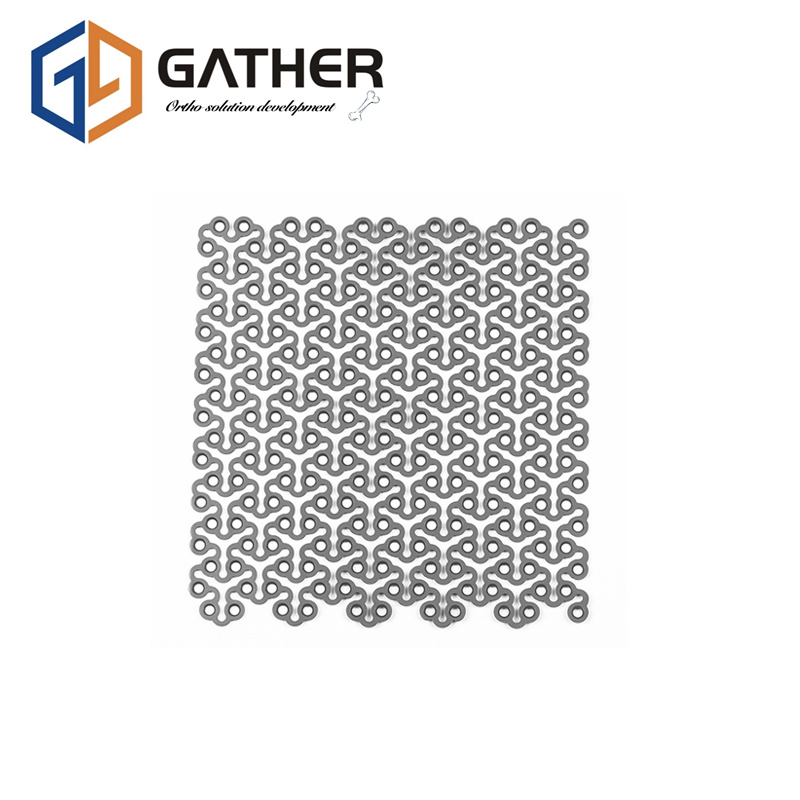 Plastic Surgery Maxillofacial Implants Skull Plate Customizable Orthopedic Implant