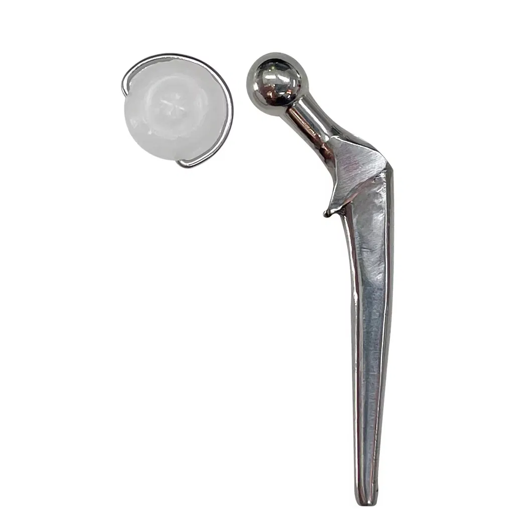 Veterinary Instrument 5