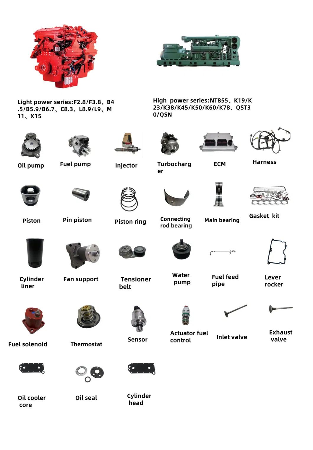 Main Products Catalog