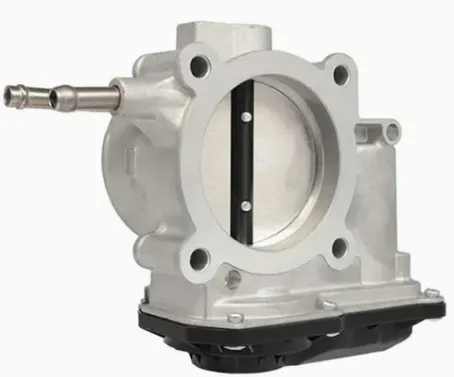 Throttle Body Assy
