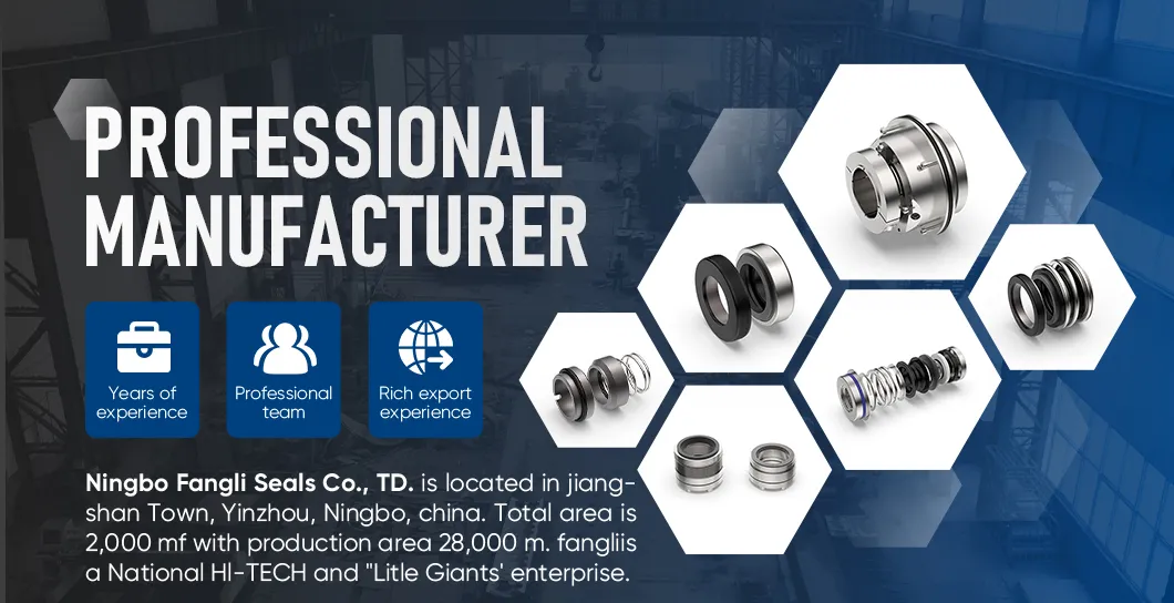 Mechanical Bellows Seals