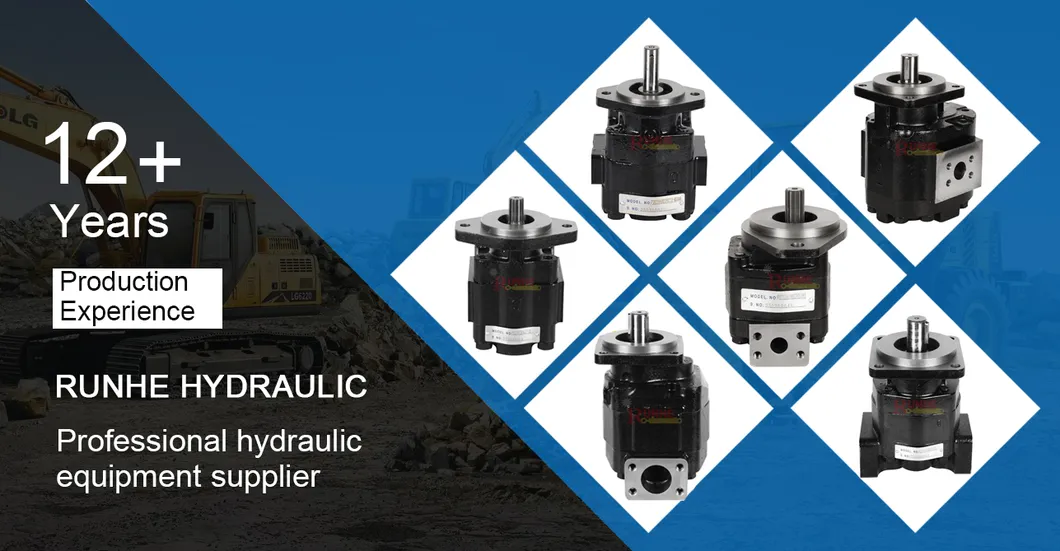 Essential Repair Parts 391-2185-020 for P75 Hydraulic Gear Pump Systems